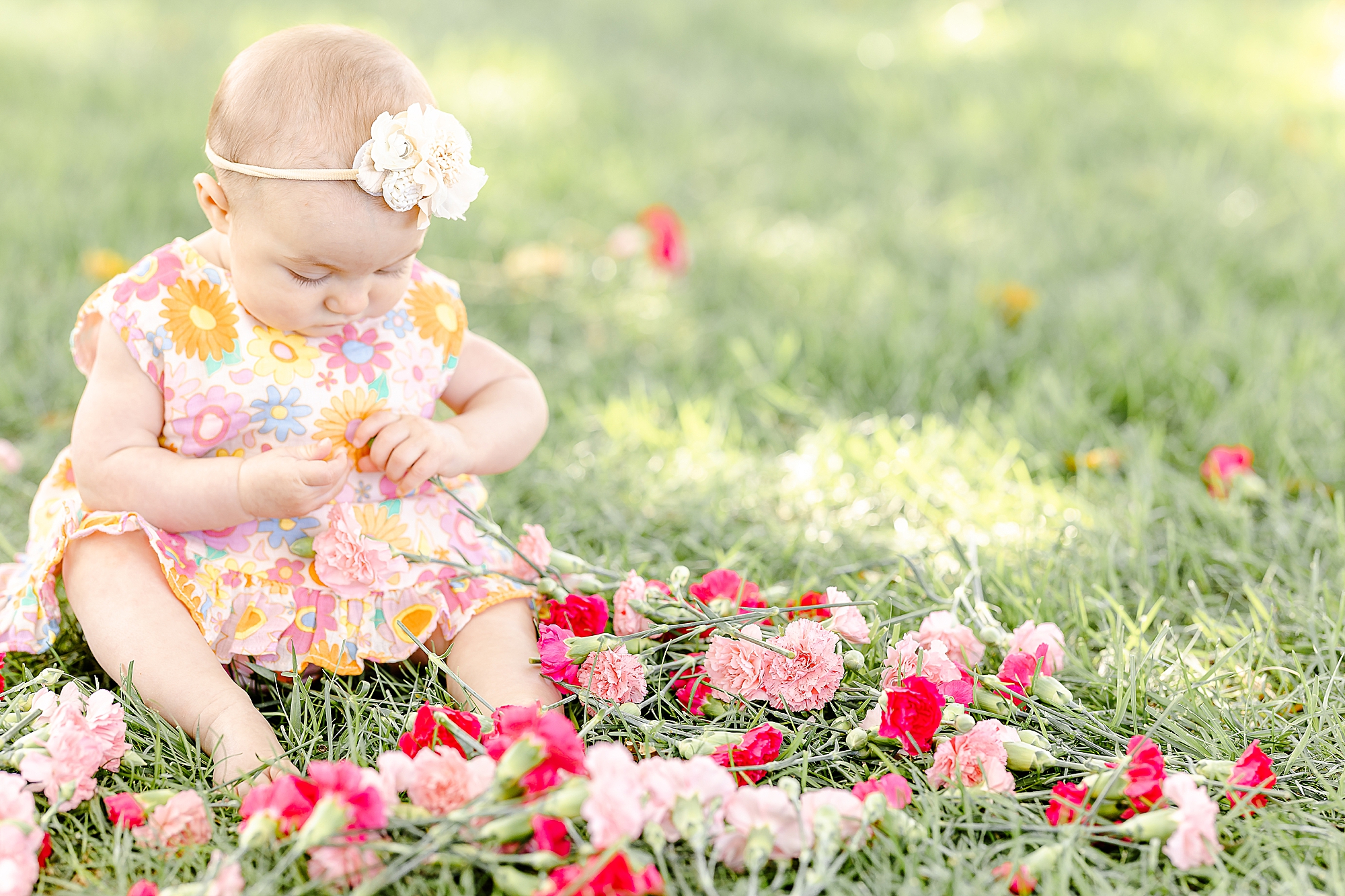spring 6 month session