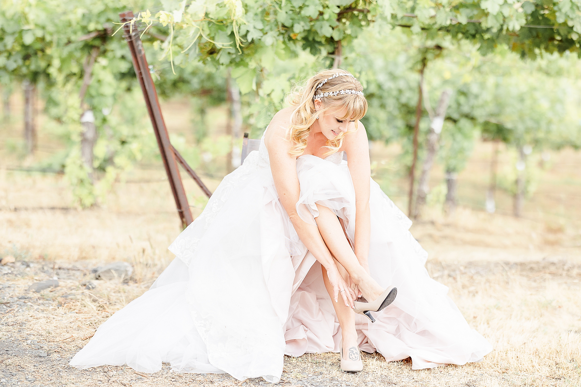 Wedding in a vineyard